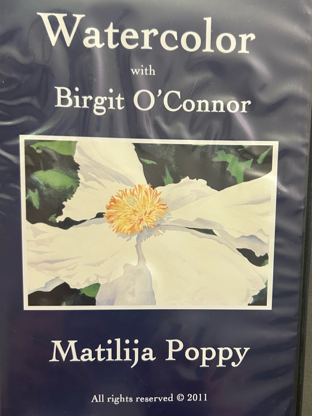 Watercolor Matilija Poppy by Birgit O'Connor - White & Yellow Floral Print